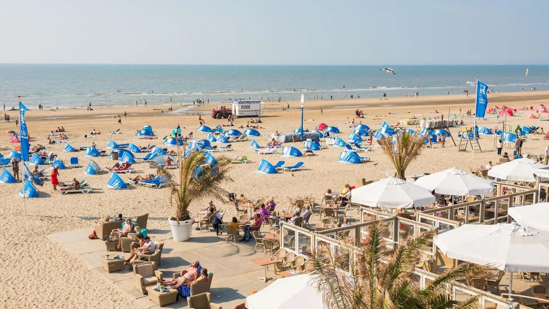 Lägenhet Casa Queensway Zandvoort
